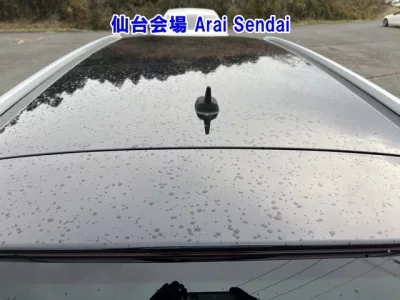 Volkswagen PSSAT ALLTRACK