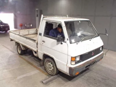 Mitsubishi DELICA TRUCK