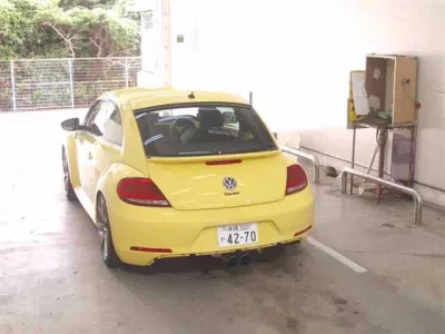 Volkswagen THE BEETLE