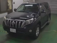 Toyota LAND CRUISER PRADO лот № 3521 оценка 3.5  с аукциона в Японии 5