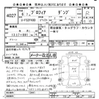 Hino PROFIA лот № 4027 оценка R  с аукциона в Японии 11