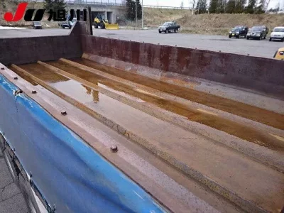 Hino PROFIA  с аукциона в Японии