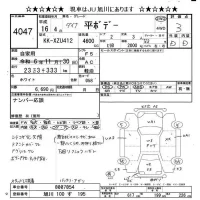 Toyota DYNA лот № 4047 оценка 3  с аукциона в Японии 9