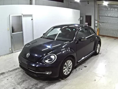 Volkswagen THE BEETLE