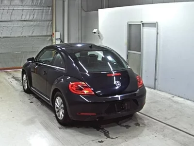 Volkswagen THE BEETLE