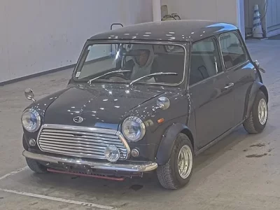 Rover MINI