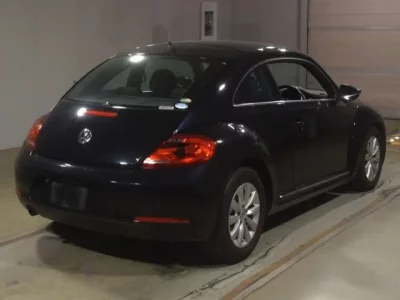 Volkswagen THE BEETLE