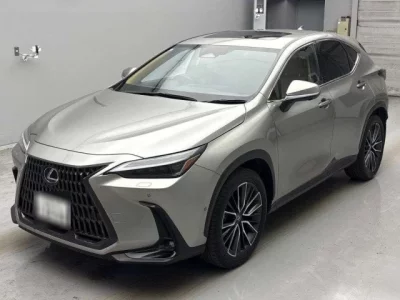 Lexus NX  с аукциона в Японии