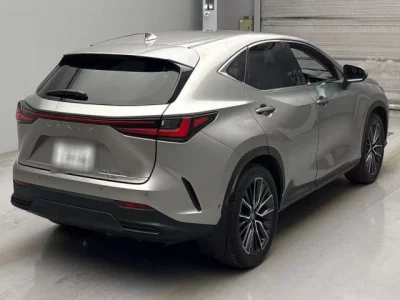 Lexus NX  с аукциона в Японии
