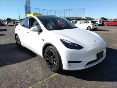 Tesla MODELY
