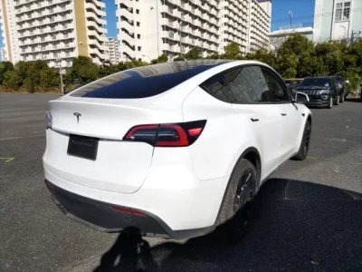 Tesla MODELY