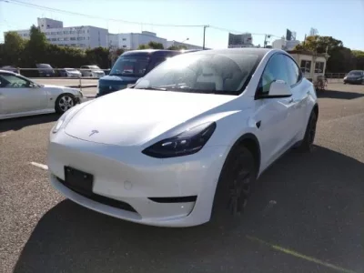 Tesla MODELY