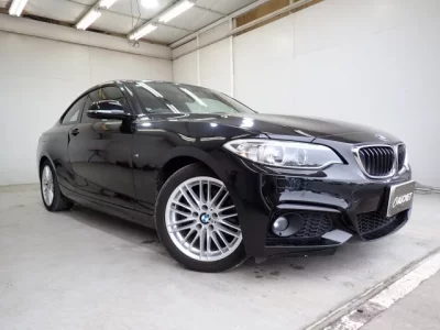 BMW 2-Series  с аукциона в Японии