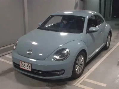 Volkswagen THE BEETLE