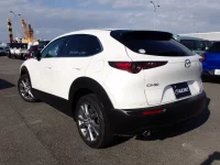 Mazda CX-30 лот № 36019 оценка 4.5  с аукциона в Японии 1