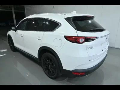 Mazda CX-8  с аукциона в Японии