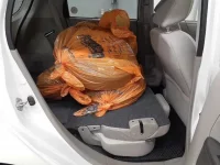 Honda N ONE лот № 9035 оценка 3.5  с аукциона в Японии 9