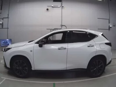 Lexus NX  с аукциона в Японии