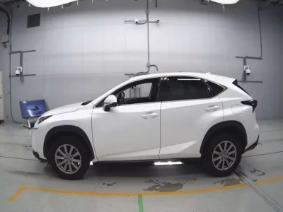 Lexus NX  с аукциона в Японии