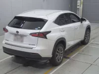 Lexus NX лот № 30090 оценка 4.5  с аукциона в Японии 1
