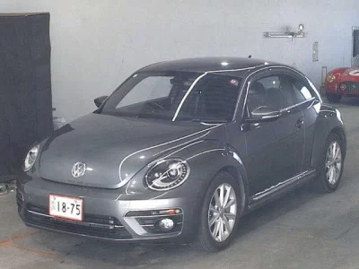 Volkswagen THE BEETLE