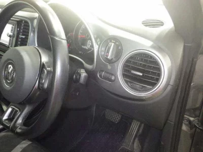 Volkswagen THE BEETLE