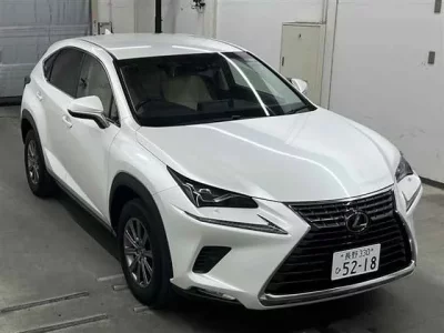 Lexus NX  с аукциона в Японии