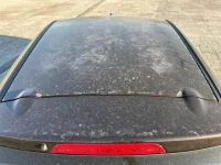 Mazda DEMIO лот № 92009 оценка 3  с аукциона в Японии 9