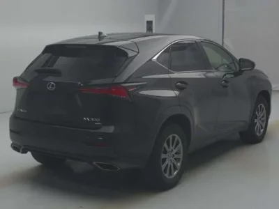 Lexus NX  с аукциона в Японии