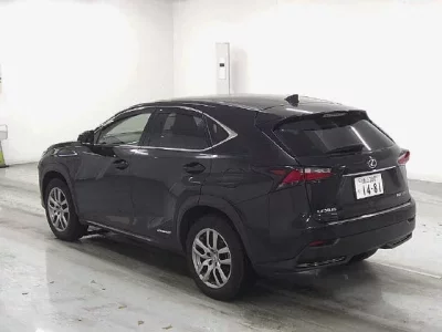 Lexus NX  с аукциона в Японии