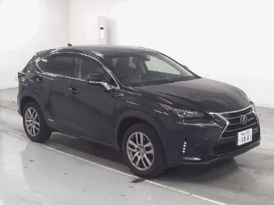 Lexus NX  с аукциона в Японии