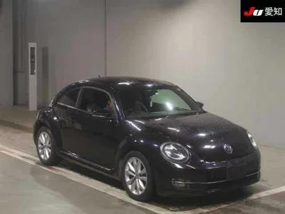Volkswagen THE BEETLE