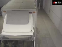 Isuzu ELF лот № 7049 оценка 3.5  с аукциона в Японии 8