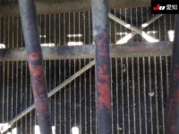 Hino PROFIA лот № 8641 оценка 3.5  с аукциона в Японии 9