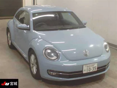 Volkswagen THE BEETLE