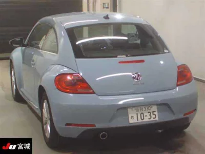 Volkswagen THE BEETLE
