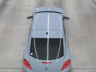 Volkswagen THE BEETLE