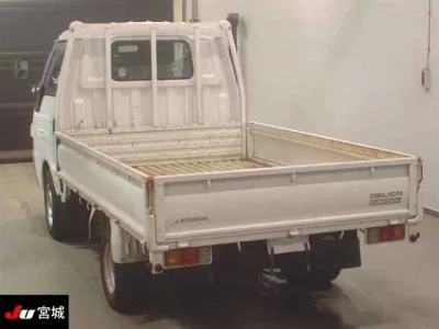Mitsubishi DELICA TRUCK