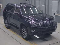 Toyota LAND CRUISER PRADO лот № 30050 оценка 5  с аукциона в Японии 4