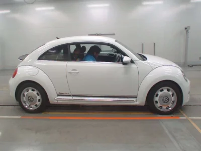 Volkswagen THE BEETLE