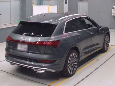 Audi e-tron  с аукциона в Японии