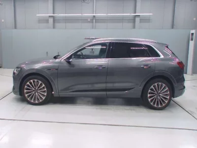 Audi e-tron  с аукциона в Японии