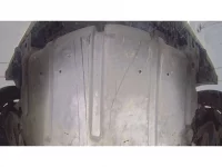 Nissan ELGRAND лот № 30217 оценка 3  с аукциона в Японии 10