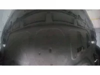 Volkswagen THE BEETLE лот № 30223 оценка 4  с аукциона в Японии 10