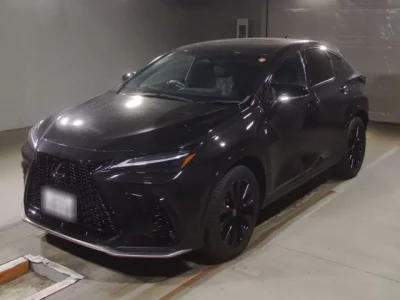 Lexus NX  с аукциона в Японии