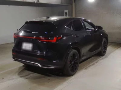 Lexus NX  с аукциона в Японии