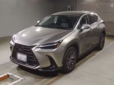 Lexus NX  с аукциона в Японии