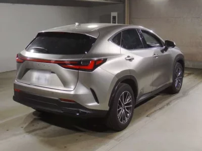Lexus NX  с аукциона в Японии