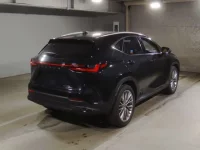 Lexus NX лот № 10035 оценка 4  с аукциона в Японии 1