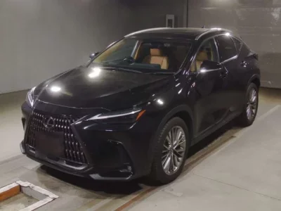 Lexus NX  с аукциона в Японии